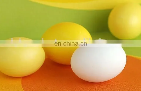 Egg Shaker photo-2