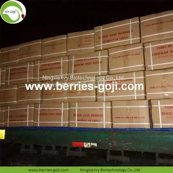 New Arrival Factory Supply Dried Goji Berry photo-5