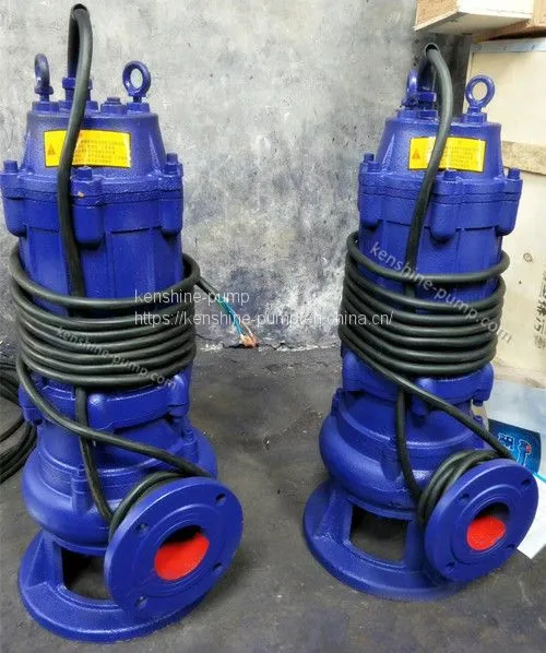 WQ Sewage Effluent Water Pump photo-3