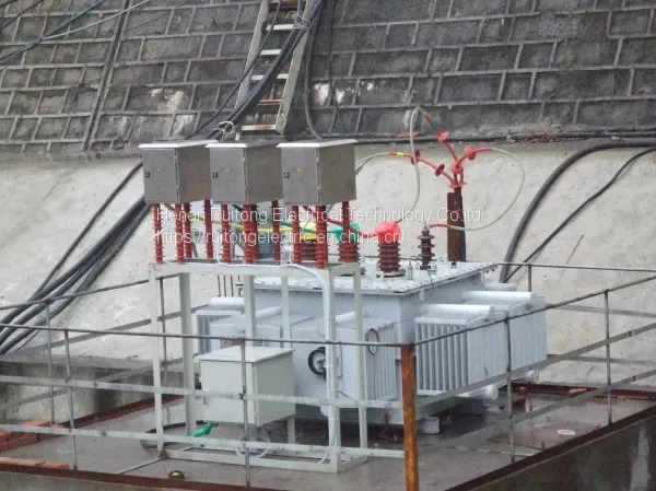 Ruitong High-voltage Static Reactive Power Compensation Device photo-2