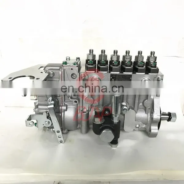 Fuel Injection Pump 13067688 B6PN539H2 BH6PN120R for Weichai WP6B Engine photo-2
