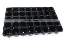 Vegetable Tray