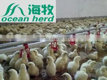 Automatic Poultry Watering System for Chickens photo-5