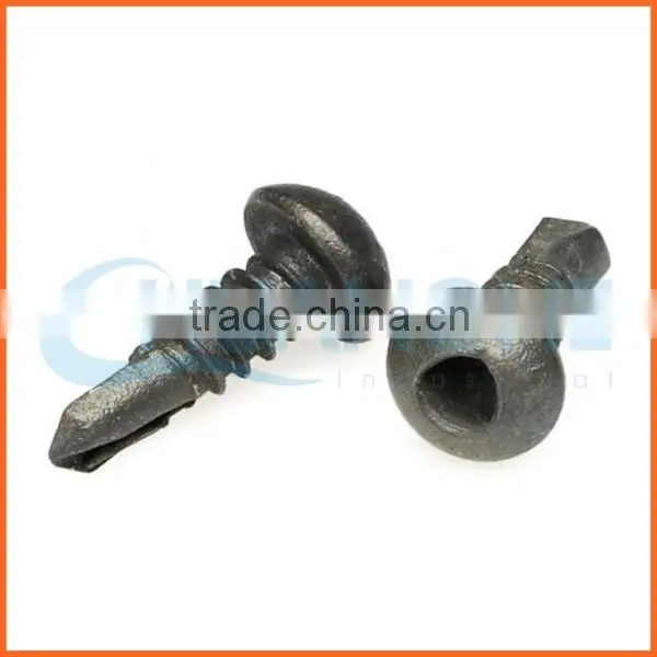 China Supplier Plastic Cap Head Anti-theft Screw photo-4