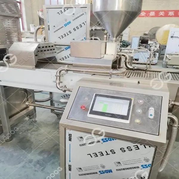 Fully Automatic Pring Roll Line Meat Roll Production Line Egg Roll Production Line to USA photo-5