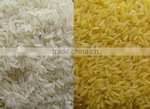 Nutritional Rice Making Machine, Instant Rice Making Machine, CE Certification, ISO9001 photo-3