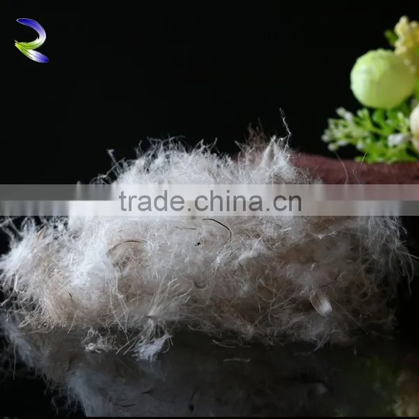 Wholesale 70% Washed Grey Duck Down photo-3
