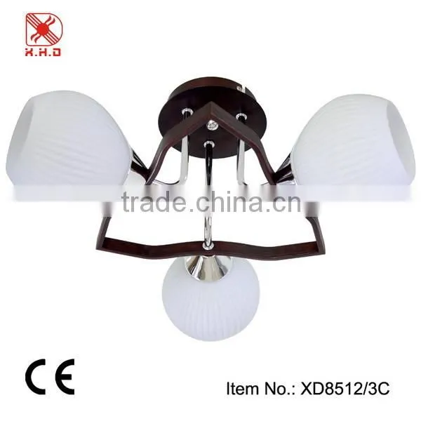 Ceiling Glass Decorative Lamps Circle Modern Indoor Lamp for Home