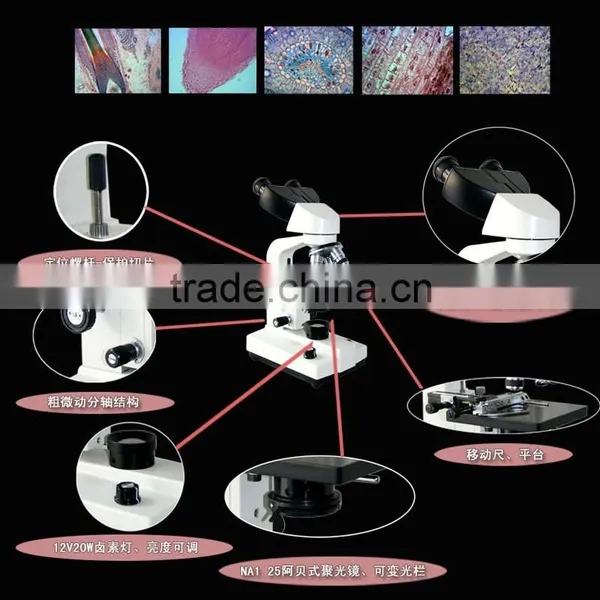 Binocular Microscope/binocular Light Microscope/specular Microscope photo-4