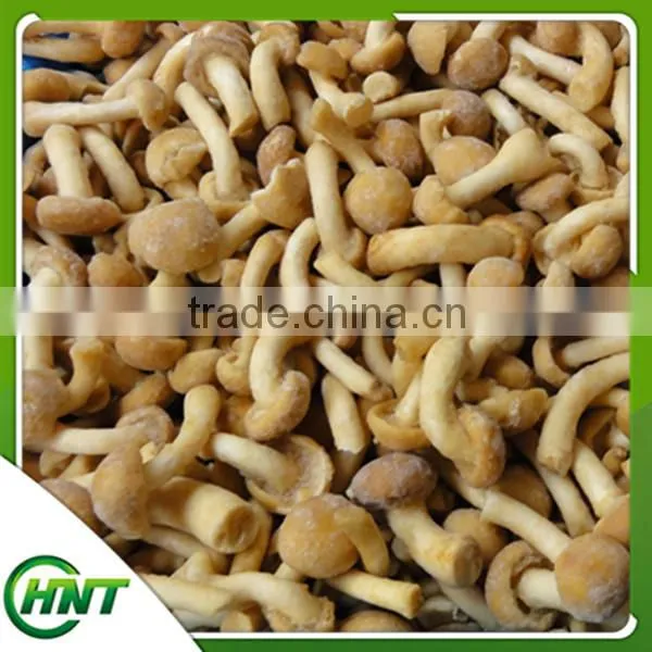 Price For Purchase Nameko Frozen Class A photo-4