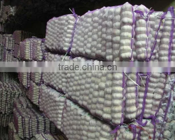 Shandong Garlic photo-2