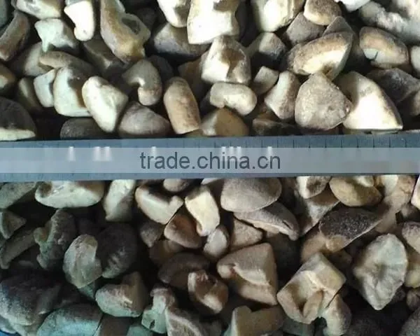IQF Frozen Shiitake Mushrooms photo-4