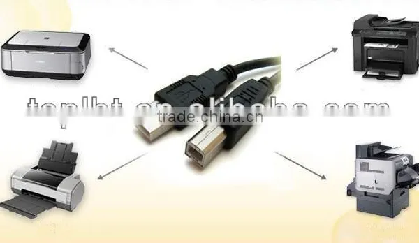 Certified Factory Customized USB 2.0 CABLE for Pinter photo-3