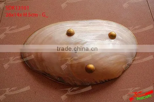 Silver Shell / MOP Plate photo-2