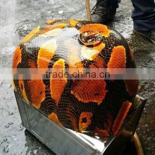 Hydrographic Film Animal Pattern / Water Transfer Printing Hydro Graphics Film - Boa Snakeskin Gm1208 Quality Choice photo-4