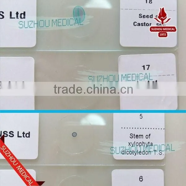 100pieces Set Mixed Prepared Slides photo-5