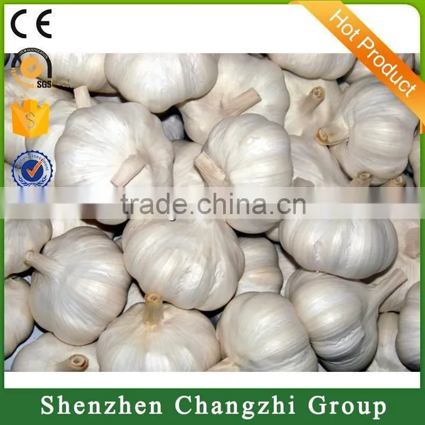 2016 New Crop Fresh Natural Pure White Garlic photo-2