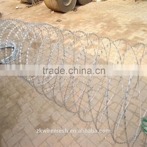 Express China Factory Low Price Concertina Razor Barbed Wire for Sale photo-3
