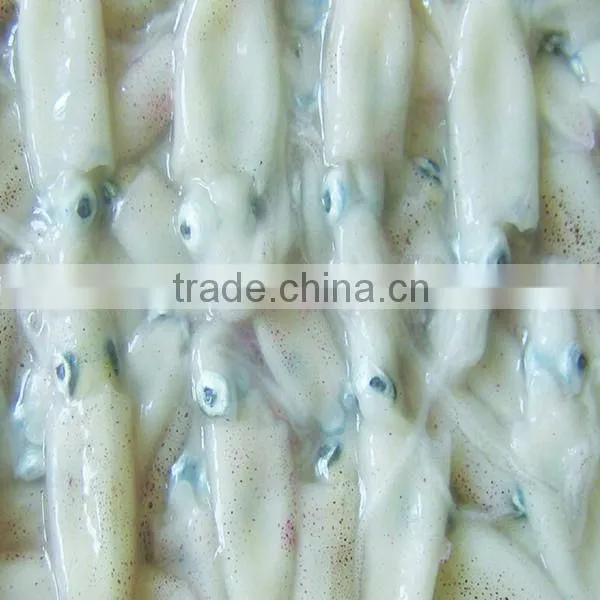 Frozen Squid(Loligo Chinese) 3/6cm