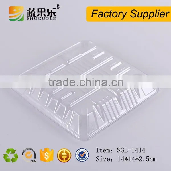 Plastic Supermarket Meat Fruit Tray photo-6