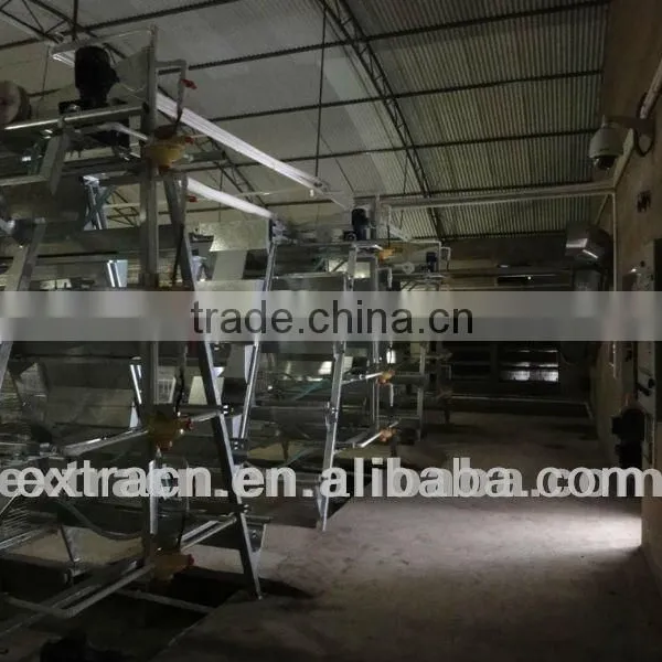 Poultry Cages