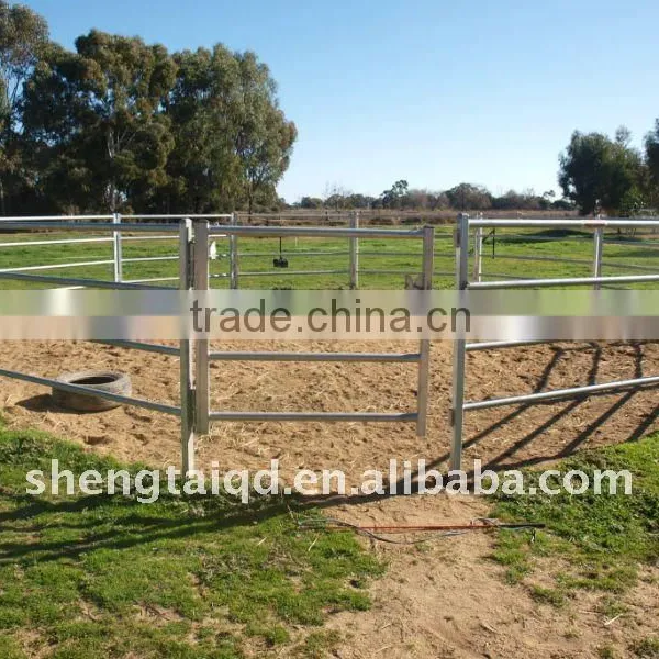 Galvanized Livestock Equipment Cattle Panels photo-6