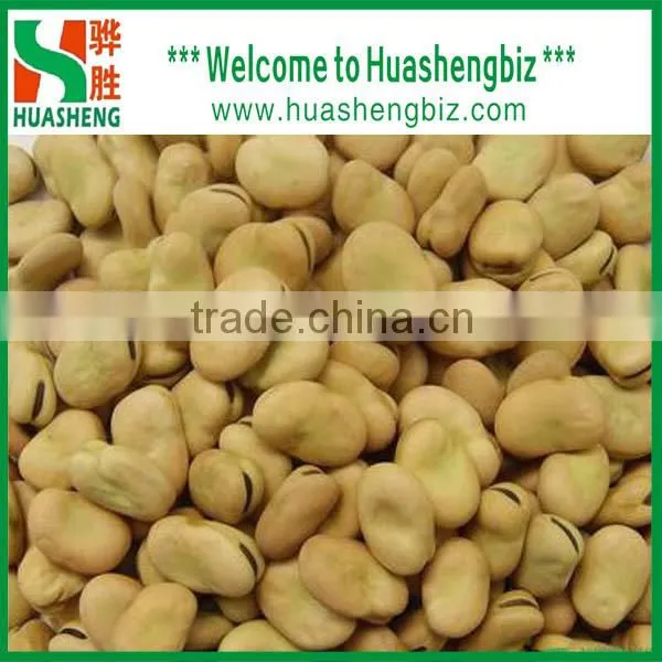 IQF broad bean