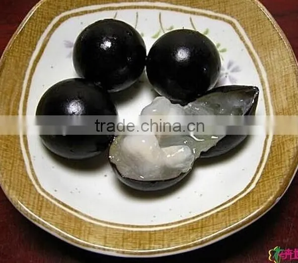 Jaboticaba Seeds Jabuticaba Guapuru Hivapuru Sabara Ybapuru Brazilian Grape Tree Seeds For Growing photo-4