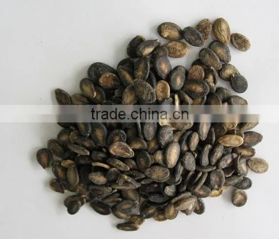 Chinese Foodstuff / Sell Well the New Crop Black Watermelon Seed A Grade photo-6