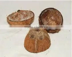 High Quality Cheap Dired Coconut Shell