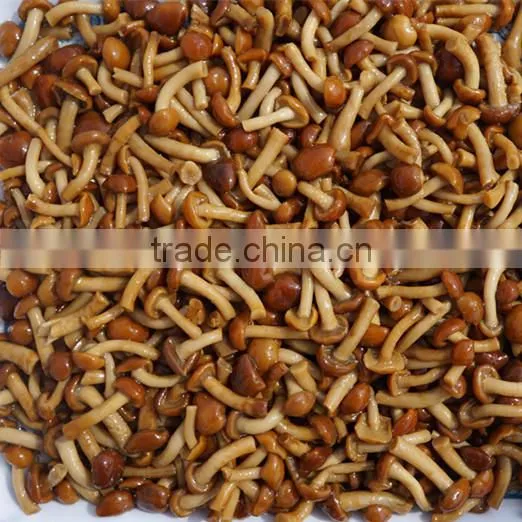 Nameko Can, Sell Nameko Can,buy Nameko Can,nameko Can Manufacturer