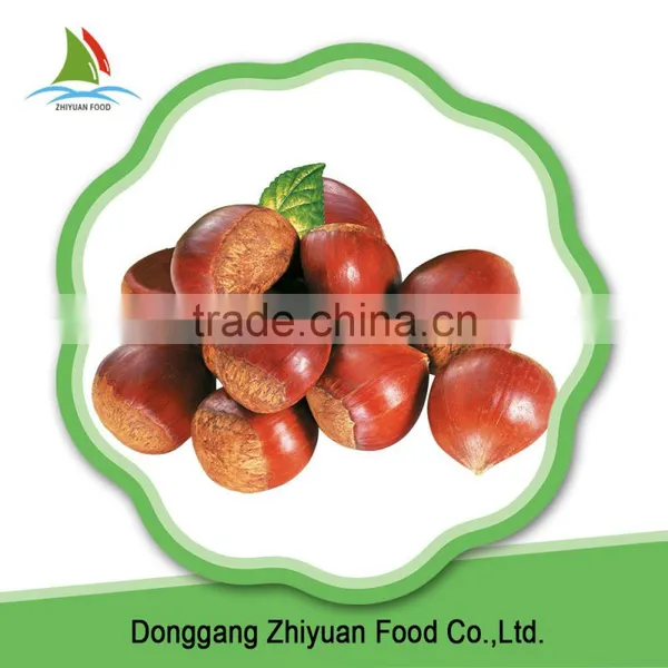High Quality Best Price New Crop Sweet Frozen Chedtnuts photo-4