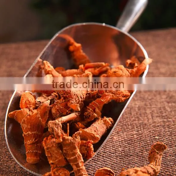 Wholesale Products Galangal Root Best Selling Products in America 2015 photo-4