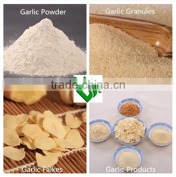 8-16 Mesh Food Seasonings Garlic Granules photo-3