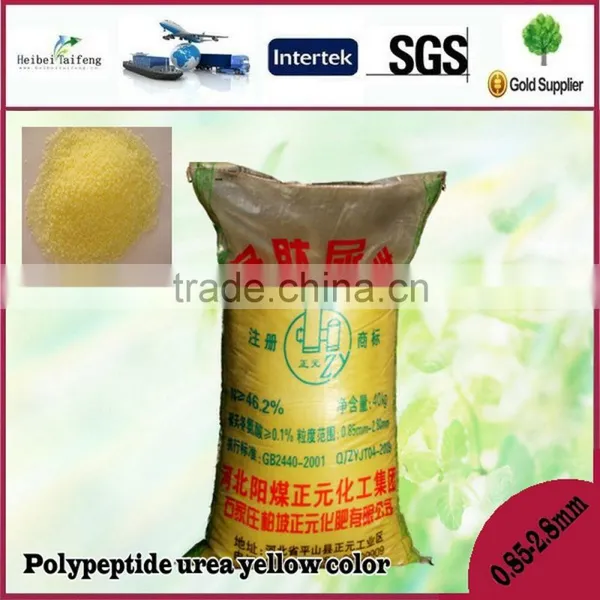 Polypeptide urea