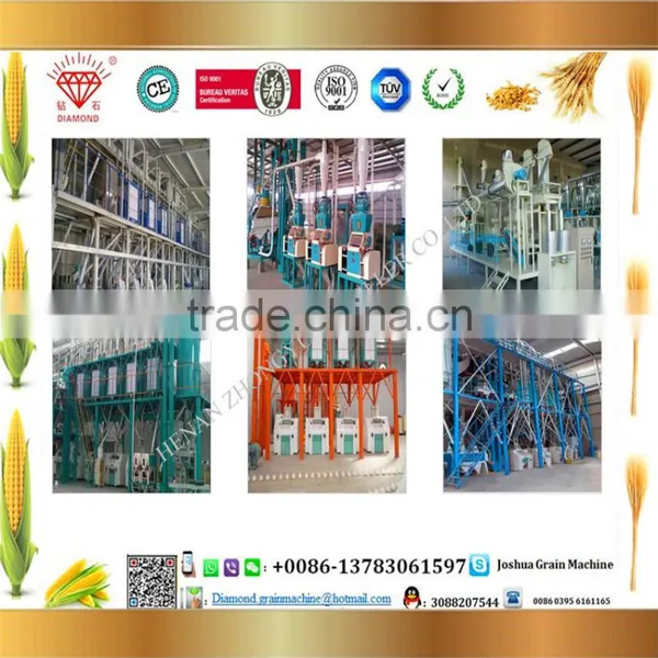 Factory Direct Supply 50 T/Day Maize Flour Machine Maize Milling Machine photo-6