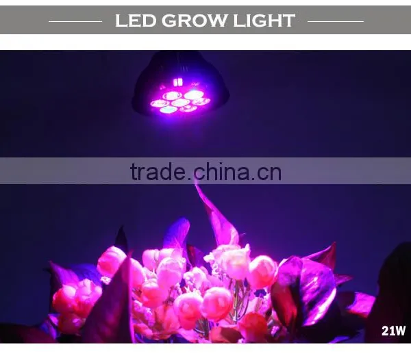 High Quality E27 21W Led Grow Light With CE&RoHS Approved 2 Years Warranty photo-5