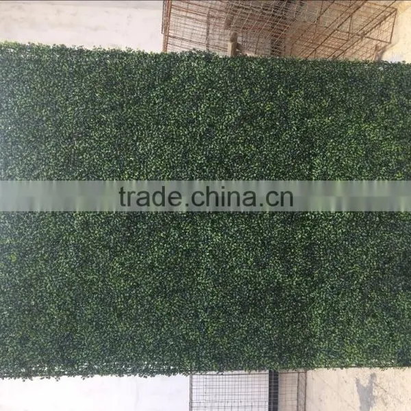Real Touch Artificial Mangosteen Lawn photo-6