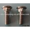 Stainless Steel Bolt
