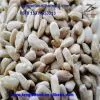 Bakery Sunflower Seed Kernels With High Quality and Low Price