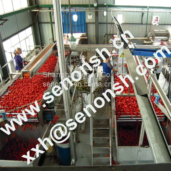 Tomato Paste Production Line photo-2