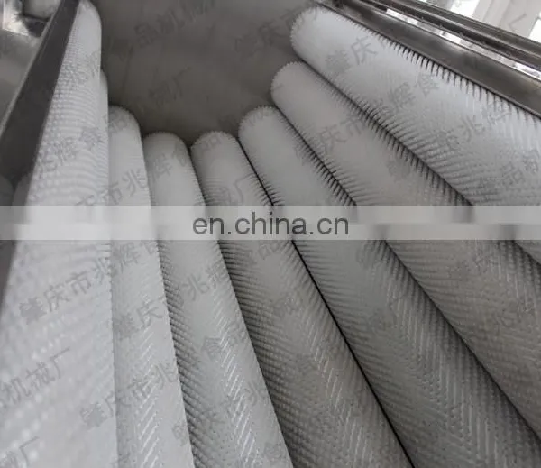Factory Supply Vegetable Ginger Potato Washing and Carrot Onion Peeling Machine With Low Price photo-6
