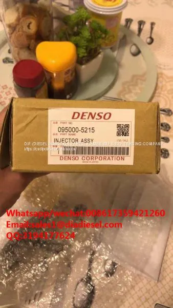 Common Rail Fuel Injector 23670-E0351 095000-5215 for Hino for Sale photo-2
