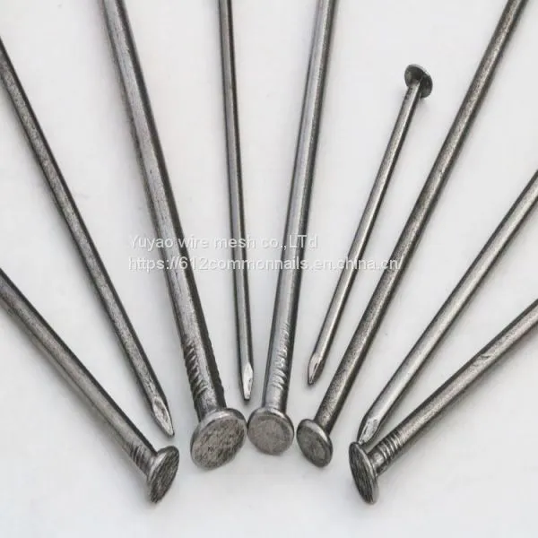 Common Nails Construction Nails photo-3
