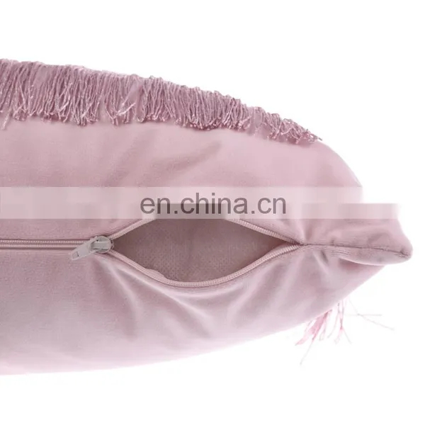 Luxury Modern 100%Polyester Velvet Pillow Cushion With Fringe Tassels for Home Deco photo-5