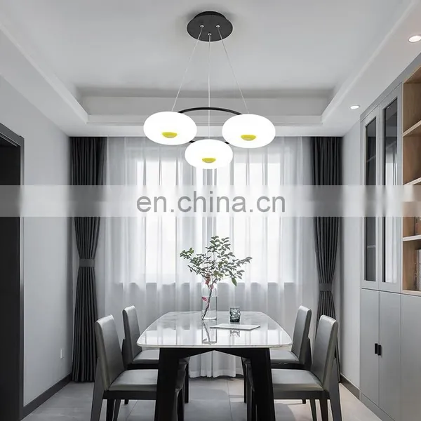 Home Hotel Decor Pendant Lamp photo-2