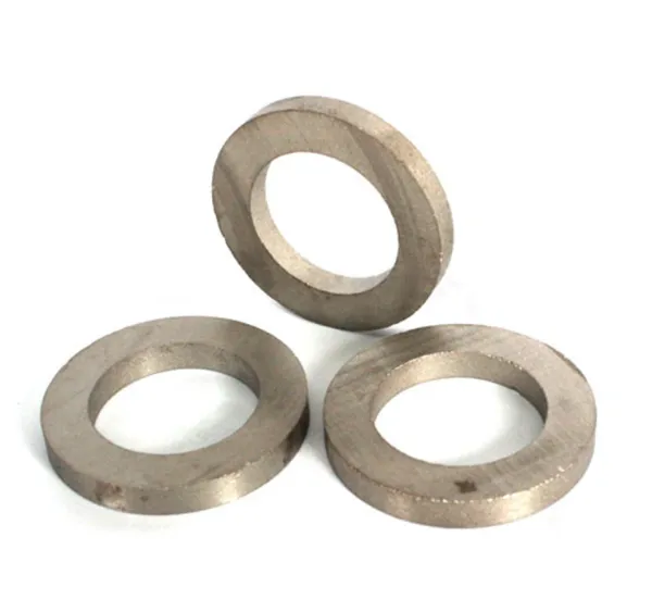 NdFeB SmCo Magnet Rare Earth Magnet Cylinder Ring Magnets