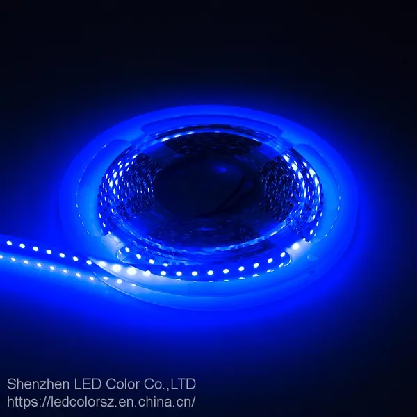Blue Color Led Strip 120leds Dc24v Flexible Non Waterproof LED Strip photo-3