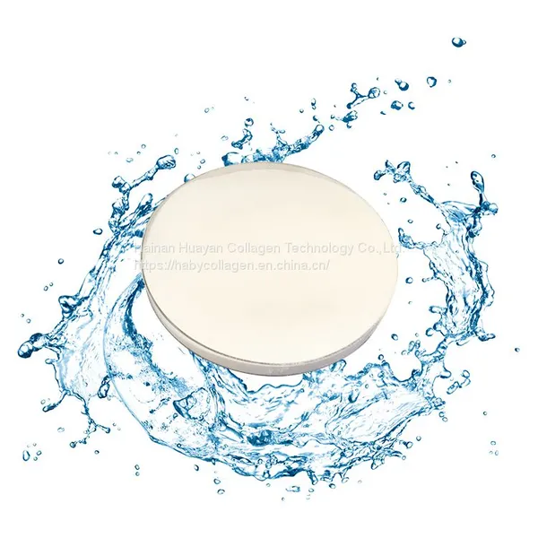 Hydrolyzed Oem Fish Collagen Peptides Powder Private Label Collagen Peptides photo-4