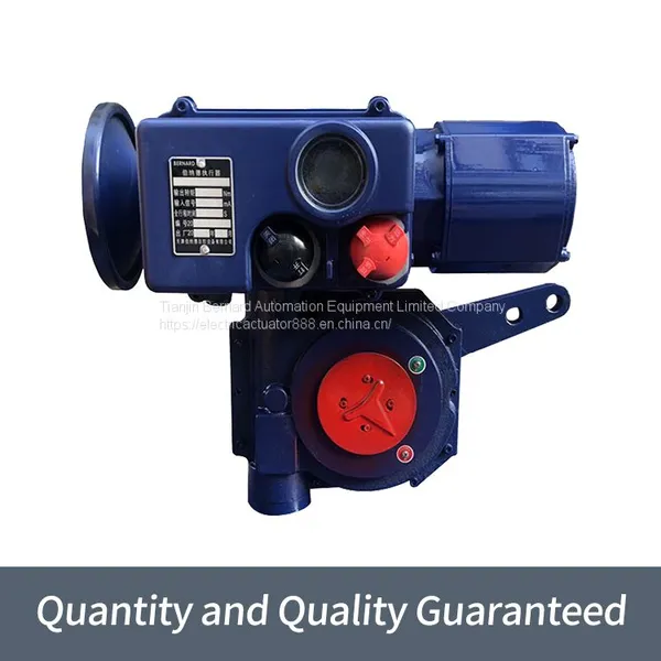 Bernard Induced Draft Fan Actuator B+RS160/F40Z Fine Small Intelligent Electric Actuator photo-4